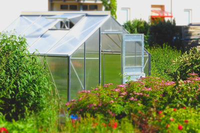 Uitzicht op een kas in een tuin