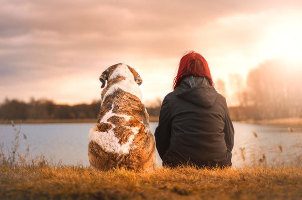 Een hond en een vrouw zitten aan de oever van een meer
