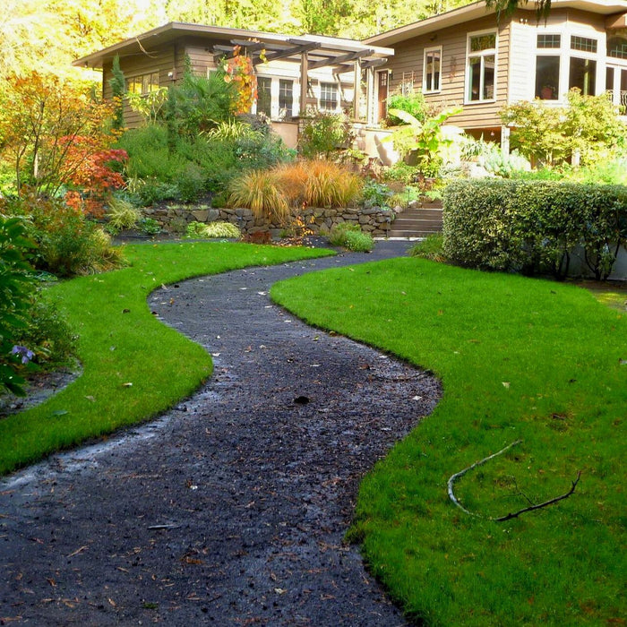 Blick auf ein Haus mit Garten