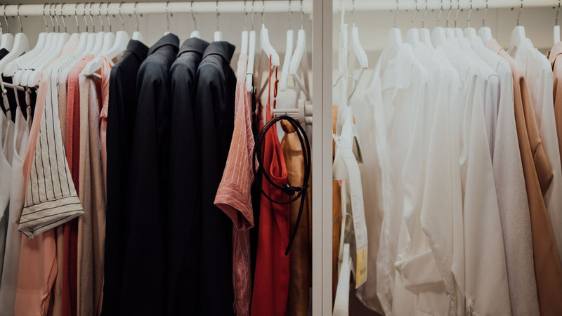 Vind en bestrijd tapijtkevereieren effectief