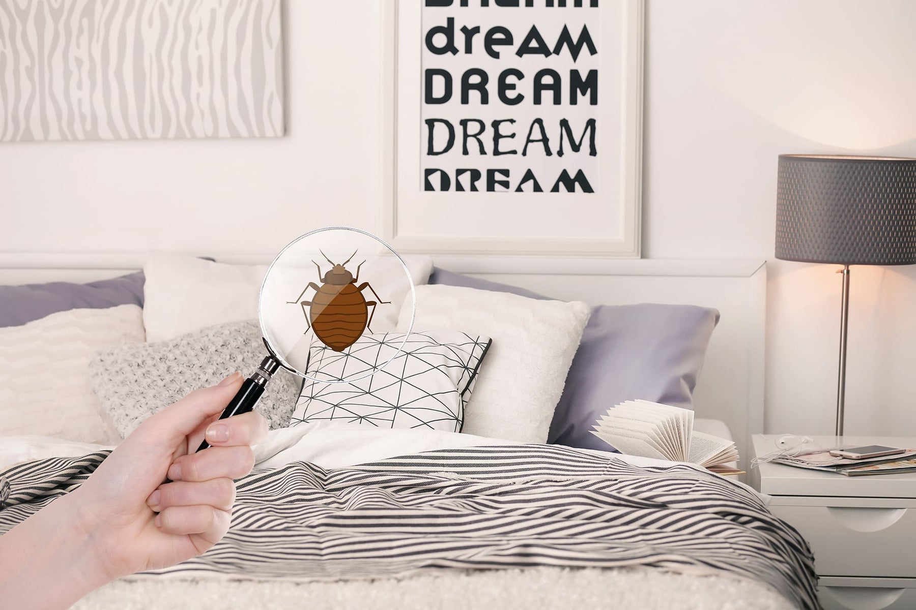 Mijt- en bedwantsspray: Leer meer over de beste producten voor de bestrijding van mijt en bedwantsen