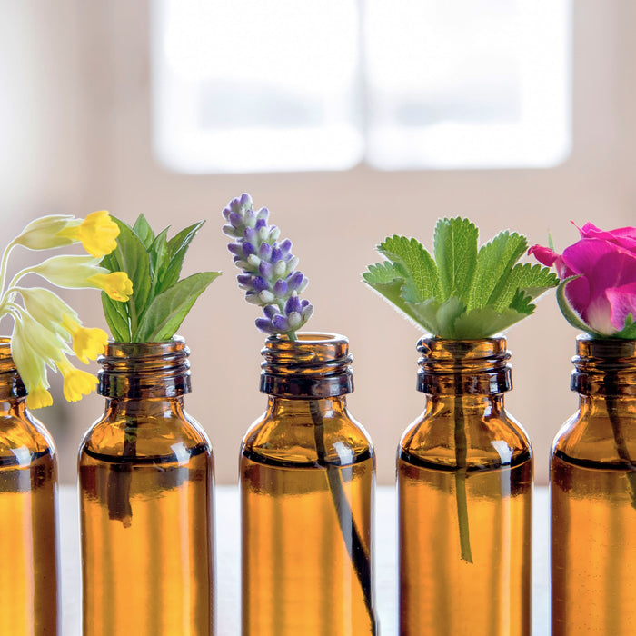 Selective focus lot of fresh herbs in small vintage bottles in a row.