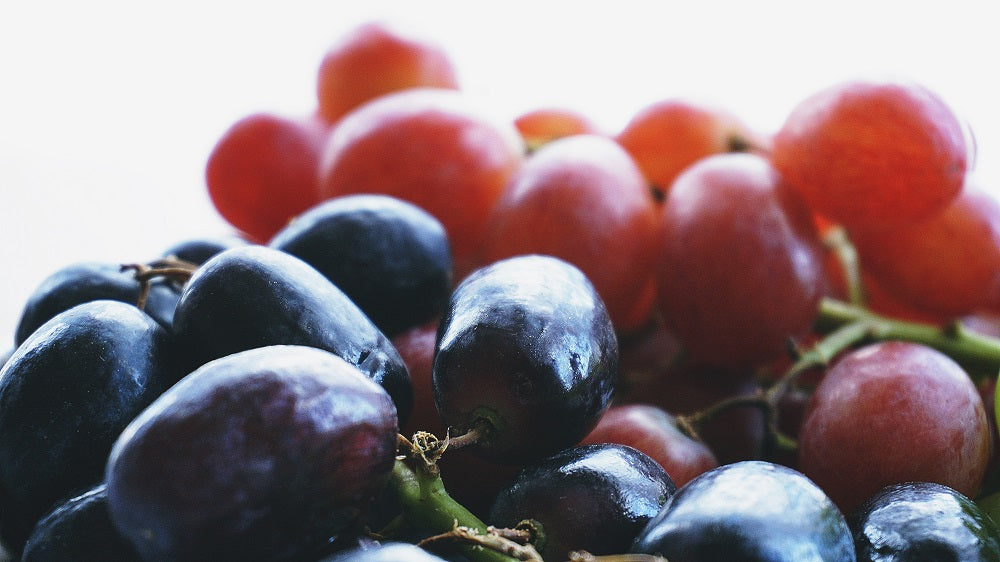 Weg met fruitvliegjes