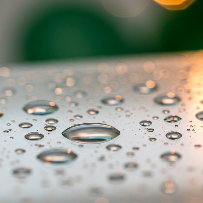 Gehen Flöhe beim Duschen weg?