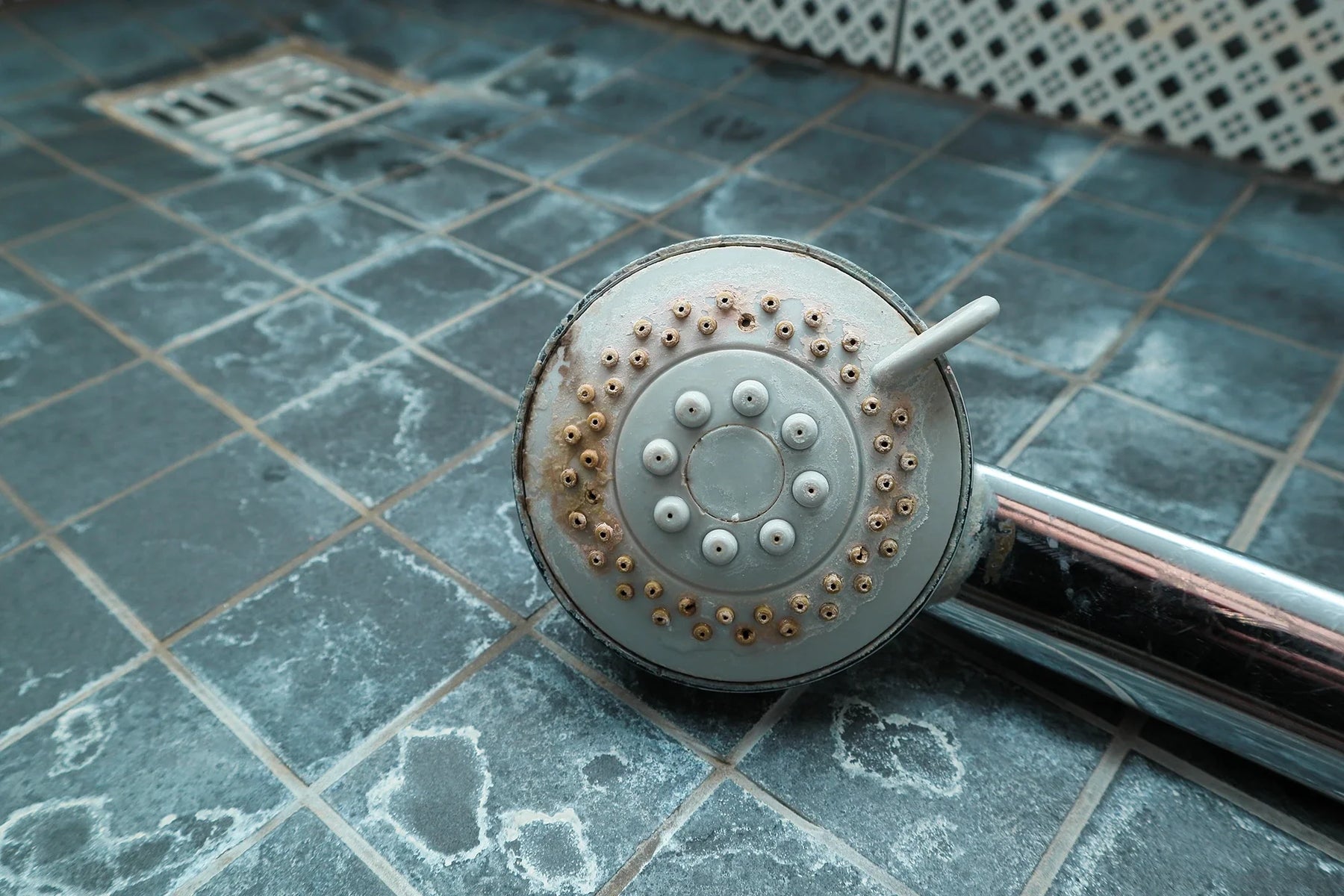 Schimmel verwijderen onder de douche – Hoe u permanent van zwarte schimmel afkomt