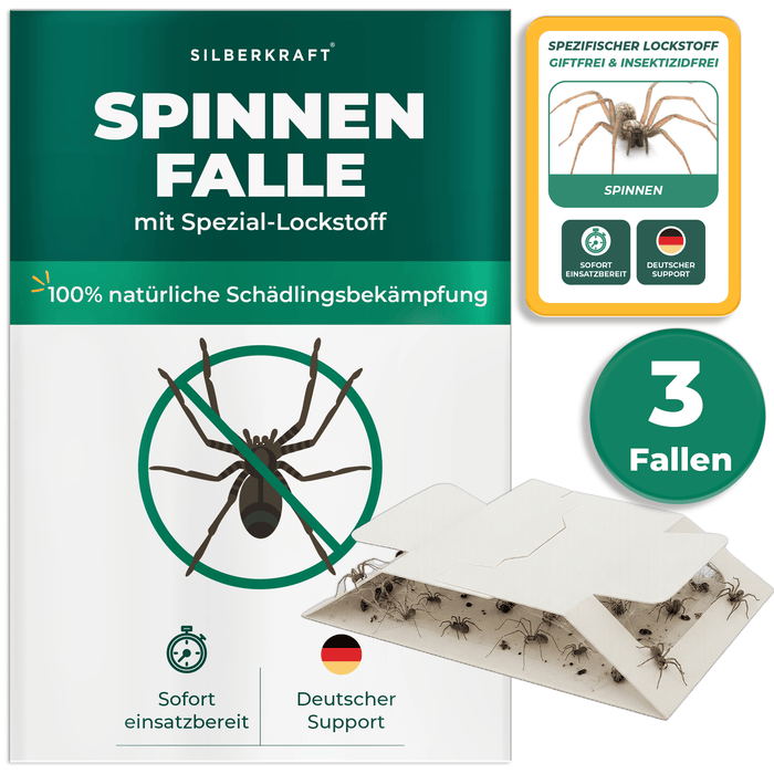 Spinnenfalle mit Spezial-Lockstoff - Silberkraft