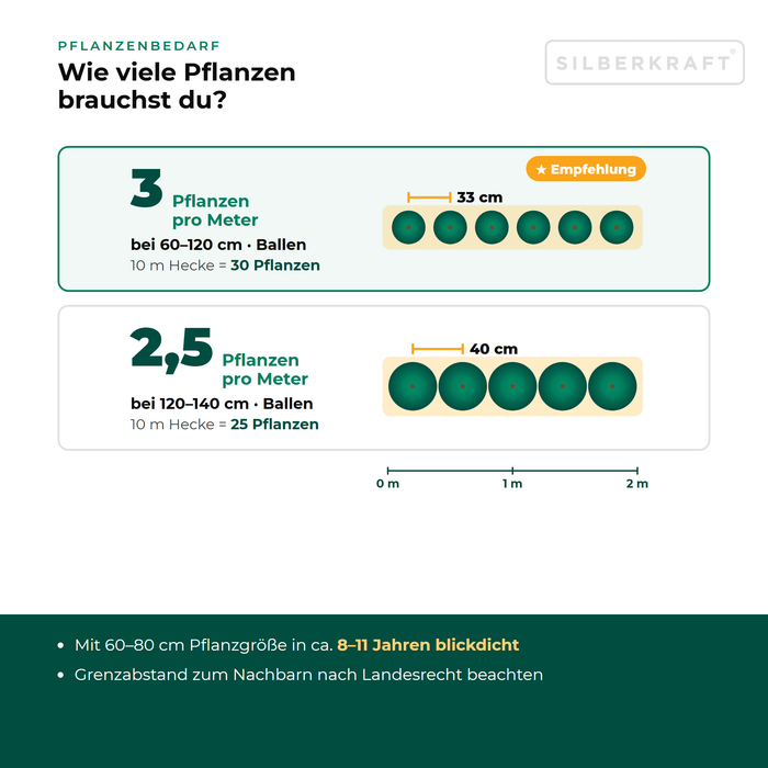 Plantbehoefte zuilvormige venijnboom 'David': 2,5 tot 3 planten per meter haag afhankelijk van de grootte, plantafstand in bovenaanzicht