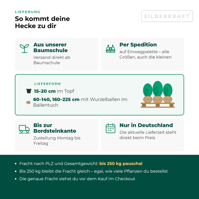 Levering Taxus: vanuit onze boomkwekerij per expediteur op een eenmalige pallet tot aan de stoeprand, alleen binnen Duitsland, vracht tot 250 kg tegen een vast tarief