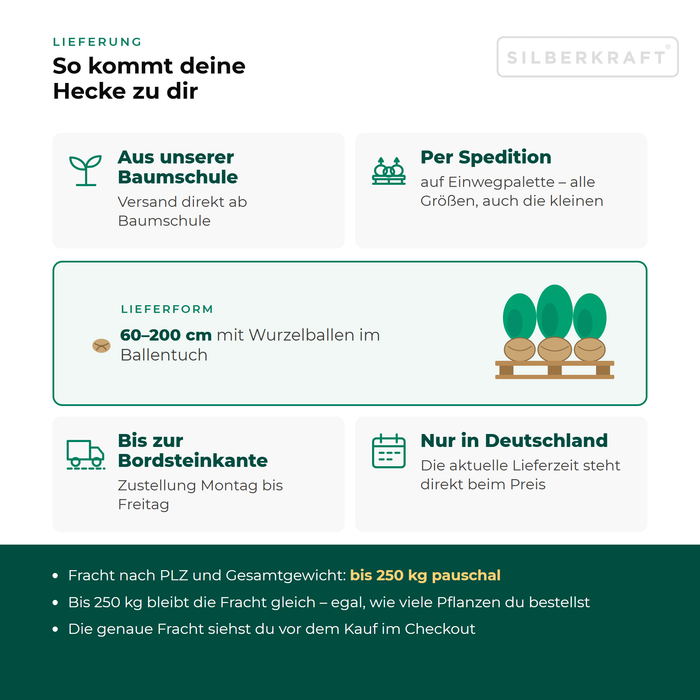Levering laurierkers 'Etna': vanuit onze boomkwekerij per expediteur op een eenmalige pallet tot aan de stoeprand, alleen binnen Duitsland, vracht tot 250 kg tegen een vast tarief
