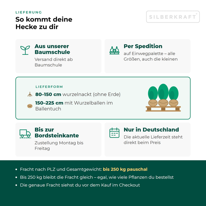 Levering beuk: vanuit onze boomkwekerij per expediteur op een eenmalige pallet tot aan de stoeprand, alleen binnen Duitsland, vracht tot 250 kg tegen een vast tarief