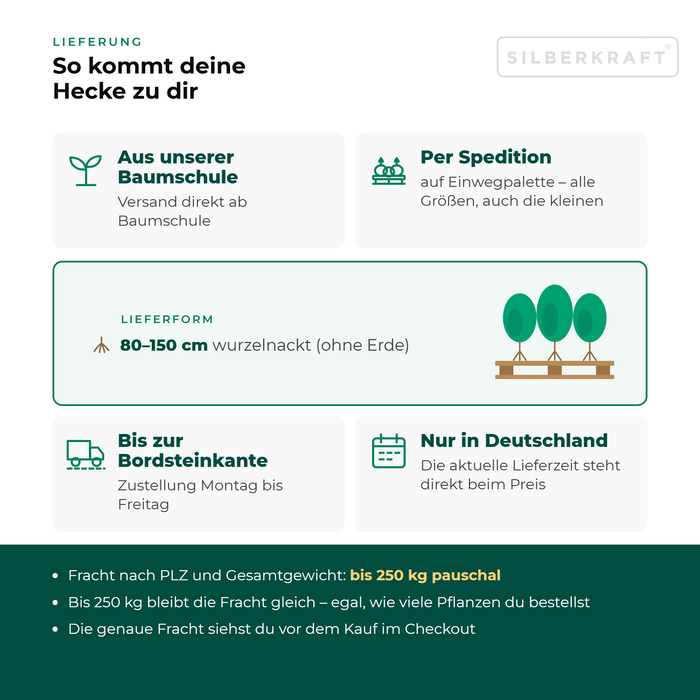 Levering sleedoorn: vanuit onze boomkwekerij per expediteur op een eenmalige pallet tot aan de stoeprand, alleen binnen Duitsland, vracht tot 250 kg tegen een vast tarief