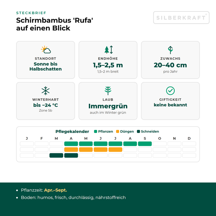 Profiel Fargesia 'Rufa': standplaats zon tot halfschaduw, eindhoogte 1,5–2,5 m, groei 20–40 cm per jaar, winterhard tot −24 °C – inclusief verzorgingskalender