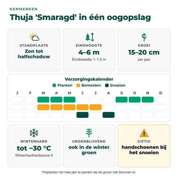 Kenmerken van Thuja 'Smaragd': zon tot halfschaduw, 4–6 m hoog, groei 15–20 cm per jaar, winterhard tot −30 °C, giftig, met verzorgingskalender