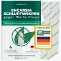 Sluipwespen tegen wittevlieg (Encarsia formosa)
