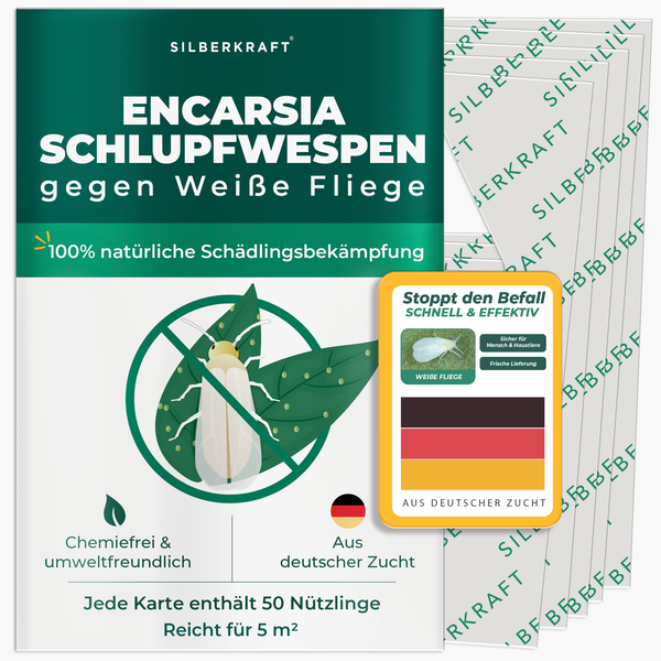 Zakje met een product getiteld Parasitaire Wespen Tegen Witte Vliegen. Een witte vlieg zit op een blad.