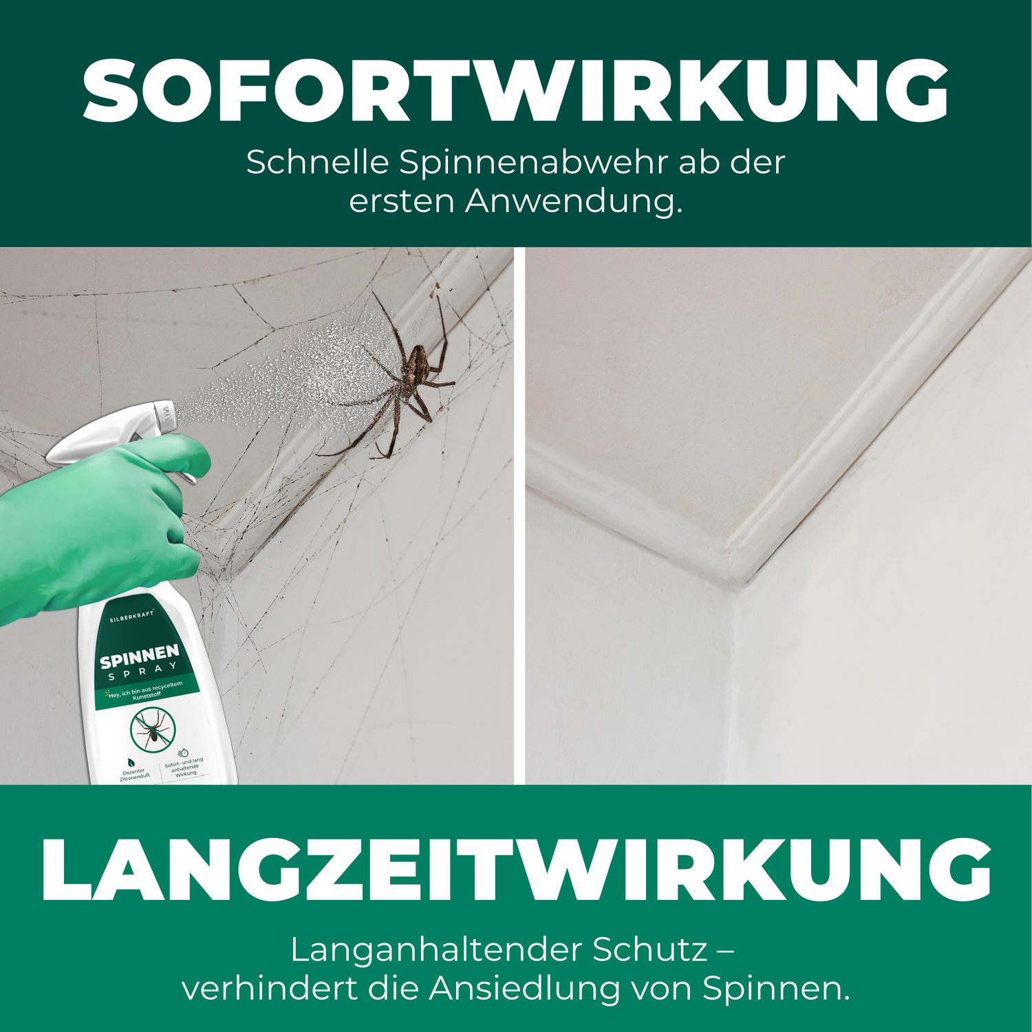 Spinnenspray - Anti Spinnen Mittel - Silberkraft