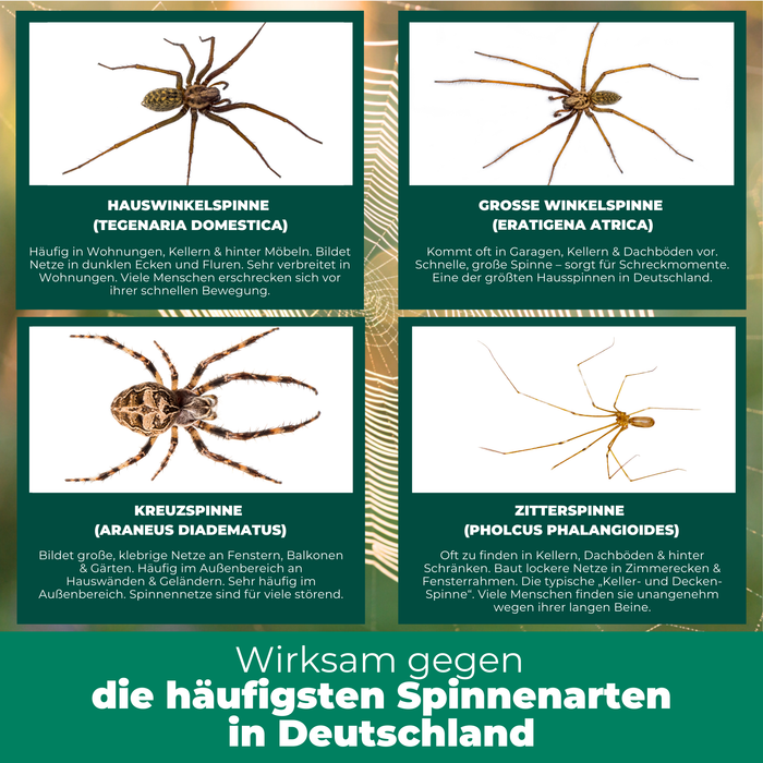 Spinnenspray - Anti Spinnen Mittel - Silberkraft