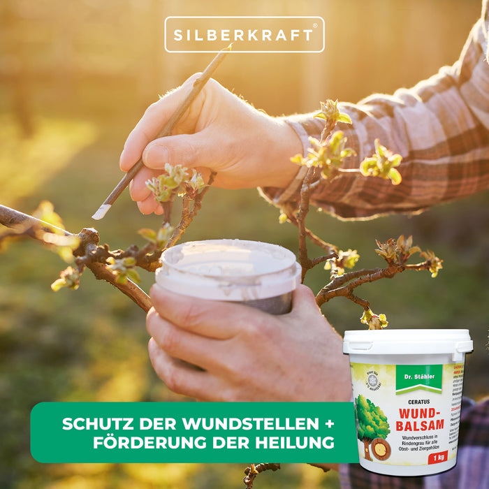 Ceratus Wundbalsam – Mittel zur Wundversorgung für Bäume - Silberkraft