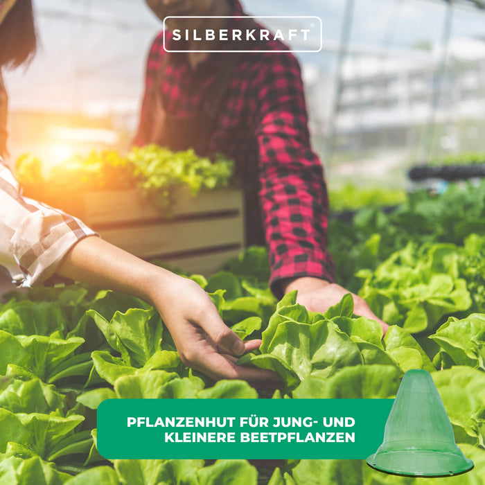 Pflanzenhut für Jung- und kleinere Beetpflanzen: Hochwirksamer Pflanzenschutz gegen Sonne, Frost, Wind, Hagel und Schnecken - Silberkraft