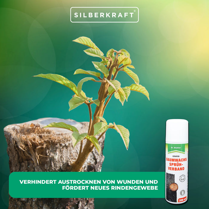 Baumwachs Sprühverband: Regeneration und Schutz für deine Bäume - Silberkraft