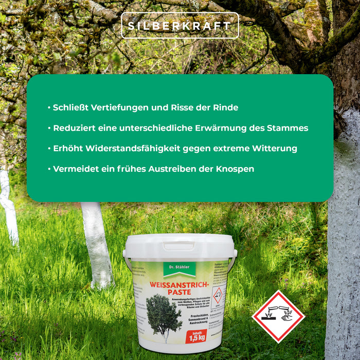 Effectieve bescherming voor bomen en struiken: witte verfpasta tegen vorstschade - Silberkraft