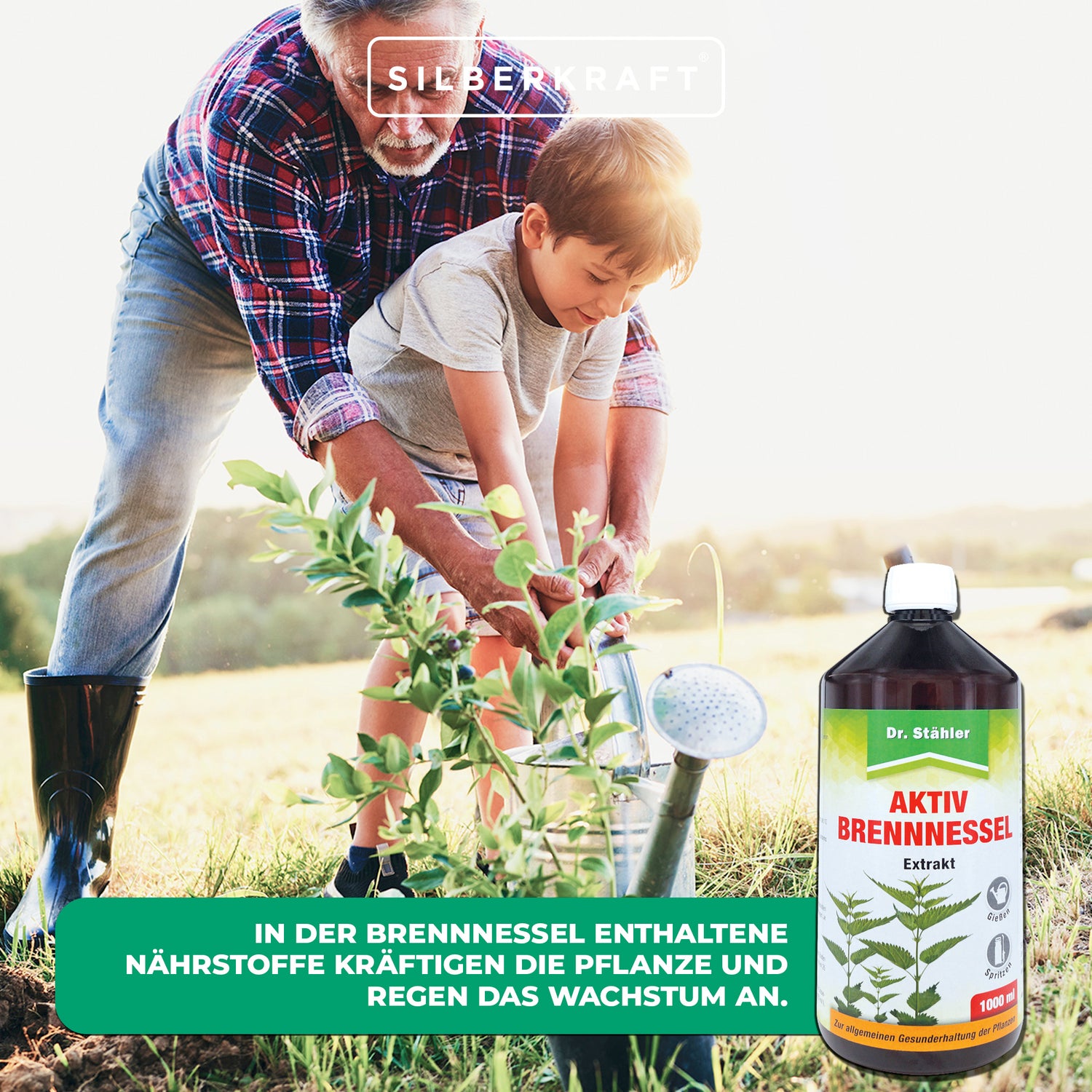 Aktiv Brennnessel Extrakt - Natürliche Pflanzenstärkung für gesundes Wachstum - Silberkraft