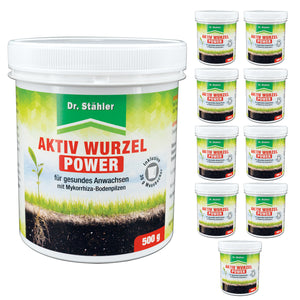 Aktiv Wurzel Power: Optimale Pflanzenstärkung mit Mykorrhiza-Bodenpilzen - Silberkraft