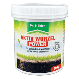 Aktiv Wurzel Power: Optimale Pflanzenstärkung mit Mykorrhiza-Bodenpilzen - Silberkraft