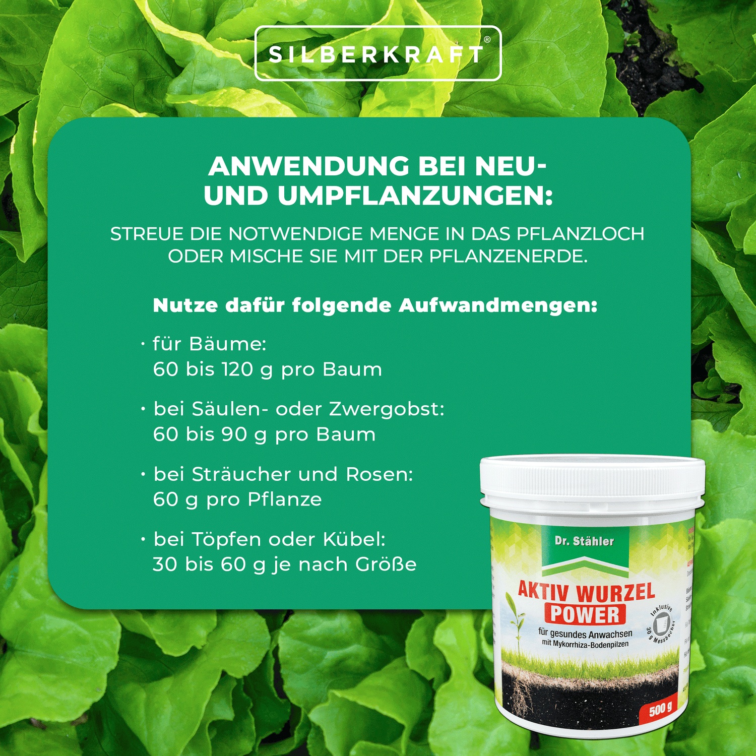 Aktiv Wurzel Power: Optimale Pflanzenstärkung mit Mykorrhiza-Bodenpilzen - Silberkraft