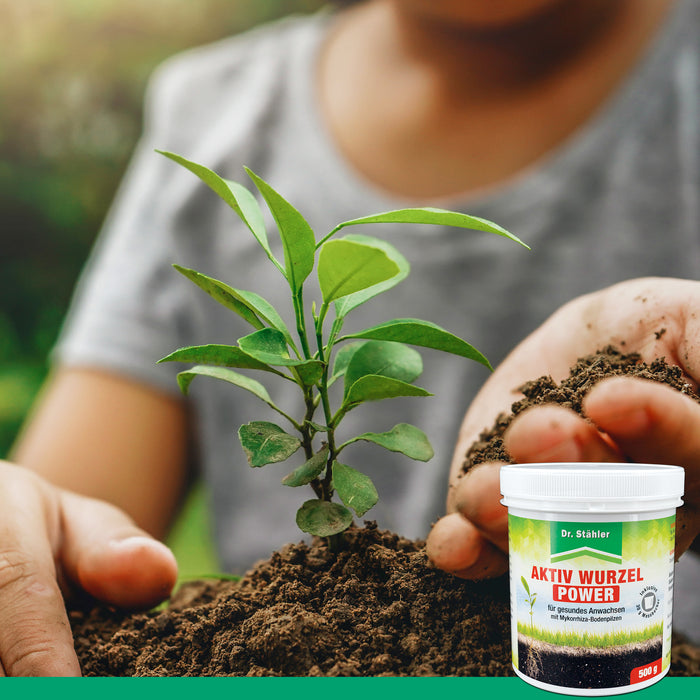Aktiv Wurzel Power: Optimale Pflanzenstärkung mit Mykorrhiza-Bodenpilzen - Silberkraft