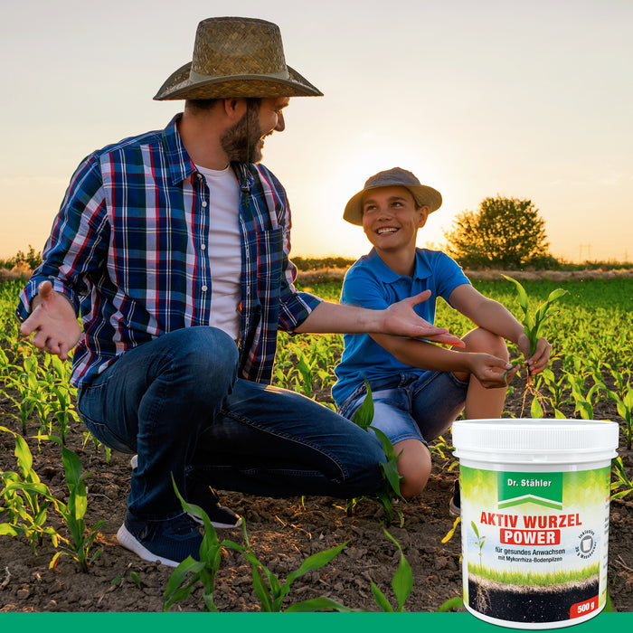 Aktiv Wurzel Power: Optimale Pflanzenstärkung mit Mykorrhiza-Bodenpilzen - Silberkraft