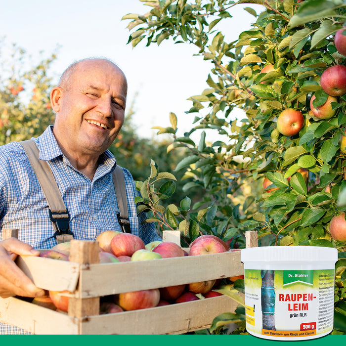 Effektiver Raupenleim für optimale Schädlingsbekämpfung - Silberkraft