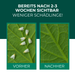 Geïnfecteerd blad is beschadigd. Wittevlieg loopt rond op het blad.