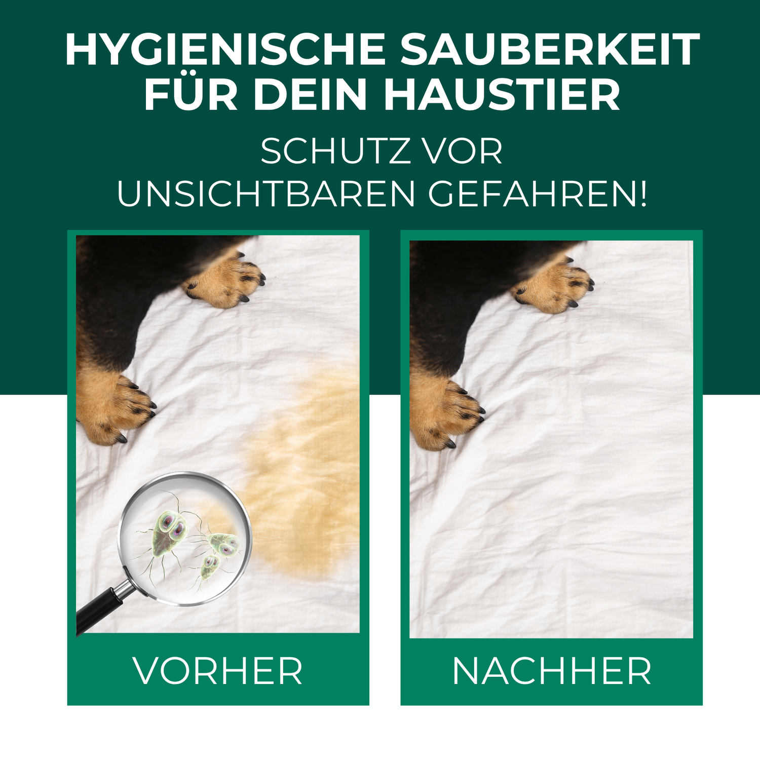 Giardienspray gegen Giardien, Bakterien, Viren & Pilze inkl. kostenloses eBook - Silberkraft