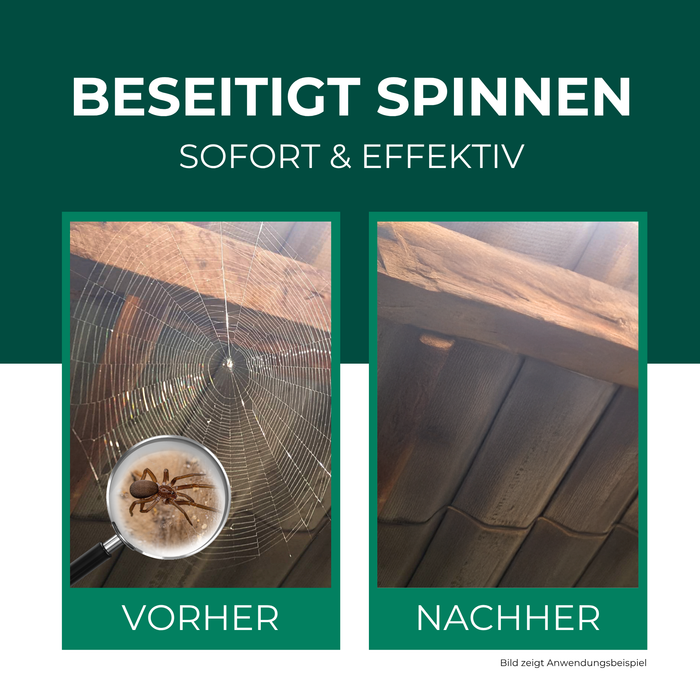 Spinnenspray-effect voor en na – elimineer spinnen effectief en snel binnen en buiten