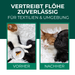 Voor en na foto van een kat - zichtbare vlooienbestrijding met spray