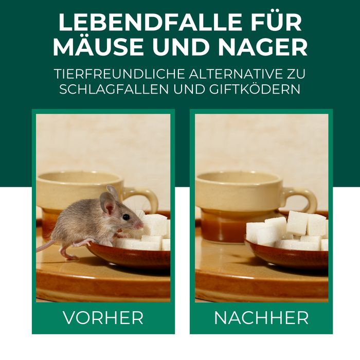 Lebendfalle für Mäuse aus Draht - Mäusefalle - tierfreundliche Alternative zu Schlagfallen und Giftköder - Silberkraft