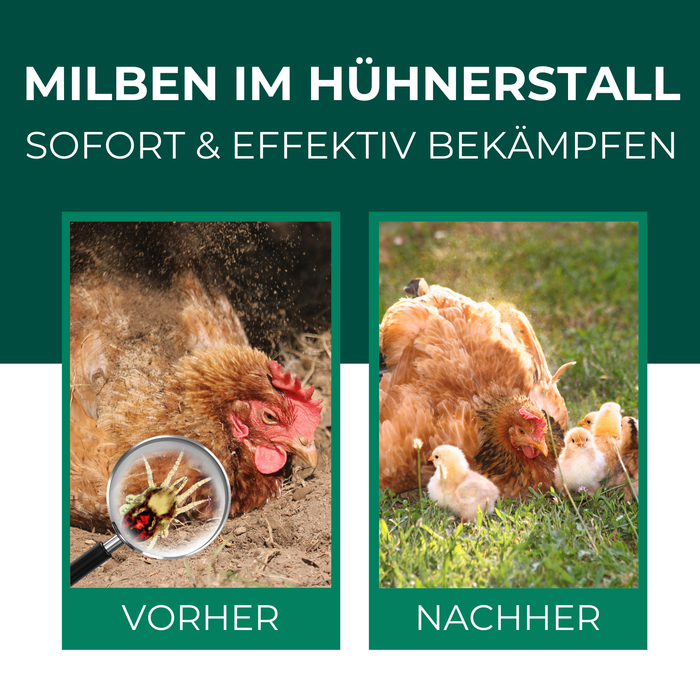 Milbenspray Hühner - Silberkraft