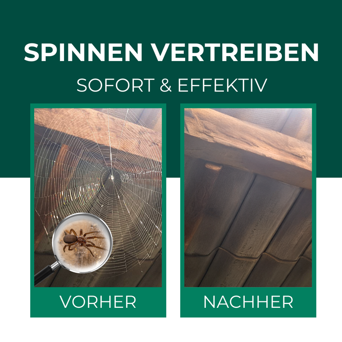 Spinnenspray - Anti Spinnen Mittel - Silberkraft