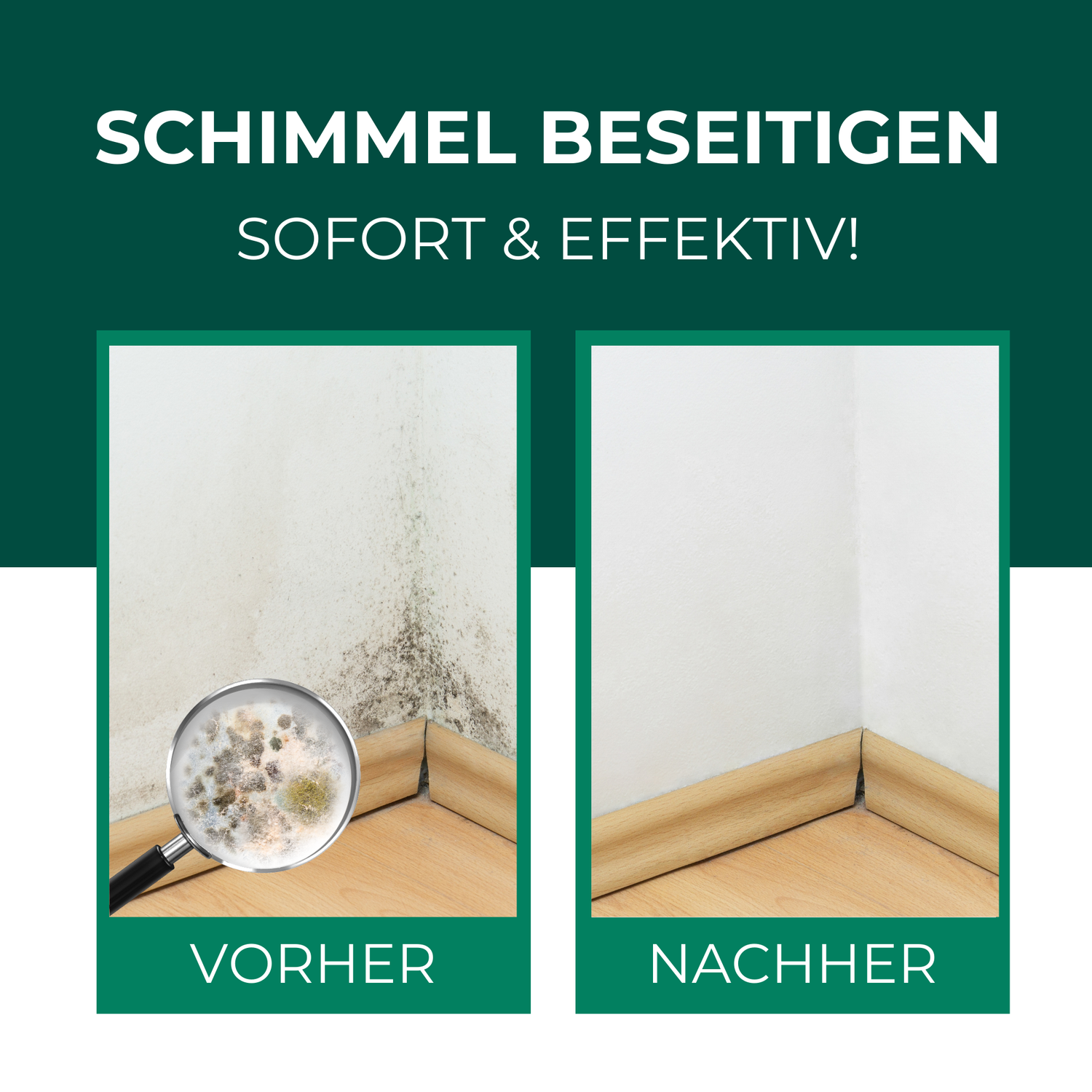 Schimmelentferner / Schimmelspray mit E-Book - Gegen Schimmel & Stockflecken - Silberkraft
