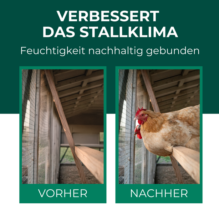 Kieselgur für Hühner & Hoftiere - Silberkraft