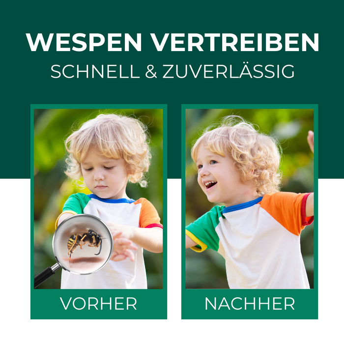 Silberkraft Wespenspray – schnelle und zuverlässige Wespenabwehr im Vergleich: Vorher-Nachher-Effekt bei der Anwendung des Sprays.