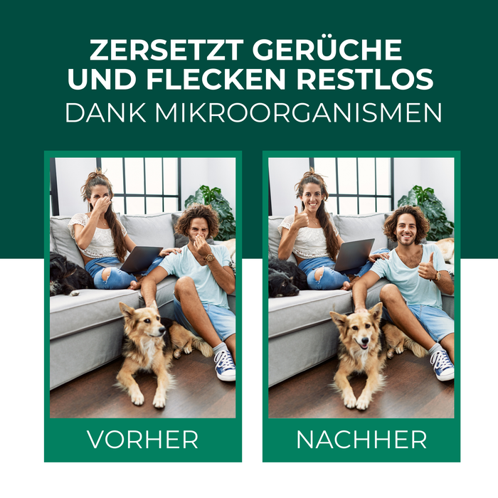 Enzymreiniger Katzen- und Hundeurin sowie Tiergerüche - Silberkraft