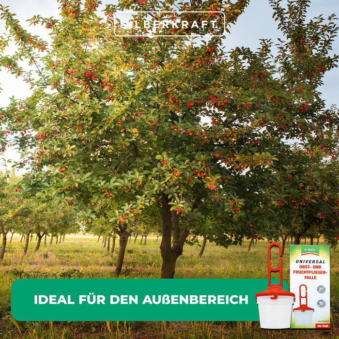 Universal Obst- und Fruchtfliegenfalle - Zum Befüllen mit einem Lockstoff gegen Fruchtfliegen - Silberkraft