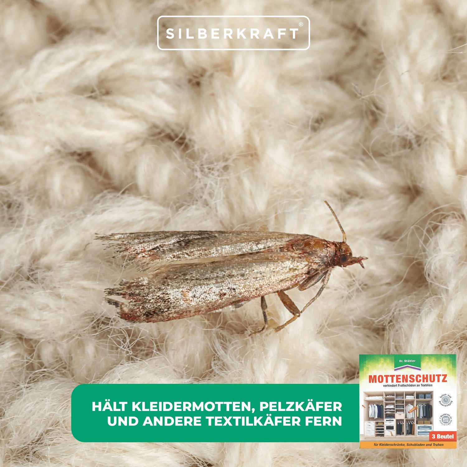 Effektiver Mottenschutz: Duftbeutel gegen Fraßschäden an Kleidung & Textilien - Silberkraft