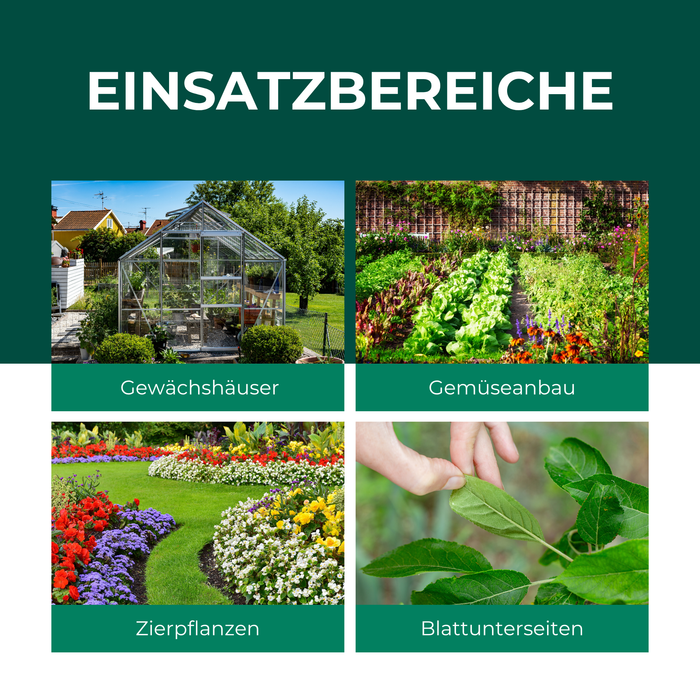 Je ziet een kas in een tuin, een groenteveld met verschillende soorten sla, een tuin met veel kleurrijke bloemen en een hand die een blad vasthoudt. Een groene boomtop, de stam van een pruimenboom met verse, paarse vruchten en veel geoogste pruimen.