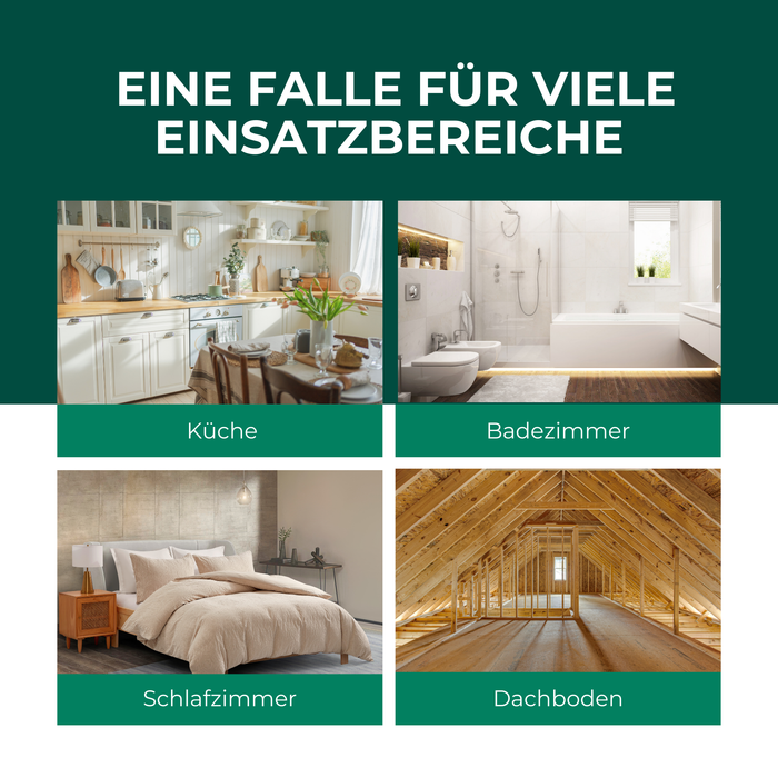 Silberfischfallen Silberfische & Papierfische bekämpfen 10 Stück - Silberkraft