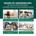 Toepassingsgebieden van de vlooienspray in woonkamers - bank, tapijt, dierenmand en omgeving