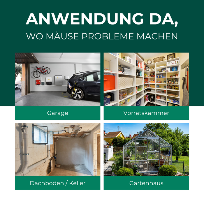 Lebendfalle für Mäuse aus Draht - Mäusefalle - tierfreundliche Alternative zu Schlagfallen und Giftköder - Silberkraft