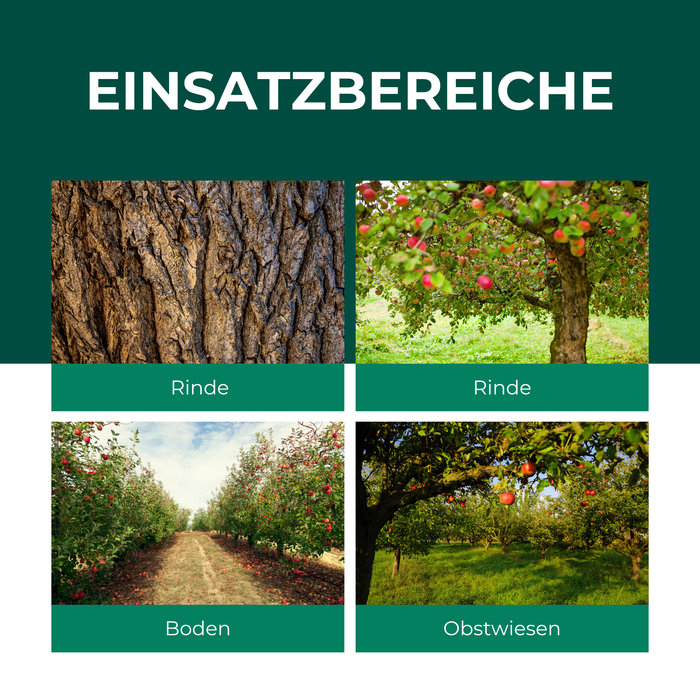 SF Nematoden gegen Apfelwickler - Silberkraft